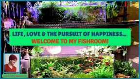 Fish Room Tour (all my tanks, all my heart!)