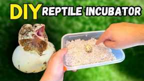 How to Make a DIY REPTILE INCUBATOR! (TUTORIAL!)