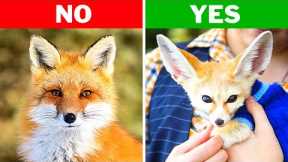 10 Exotic Animals You Can Keep As Pets