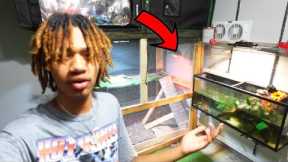 Update On My Crazy Mini Reptile Zoo!!! | Official.Merzy Vlog #222