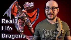 Top 5 REAL LIFE Mythical Reptiles You Can Actually Own