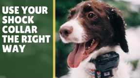 5 Tips: E-Collar Dog Training for Beginners
