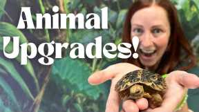 Animal Upgrades!!