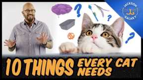 Everything You Need for Your Cat | 10 Cat Essentials for New Guardians
