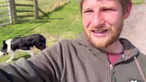 The best dog training tip I can give