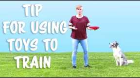 Tip for Using Toys to Train Your Dog -  Dog Training