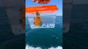 I Saved this Goldfish’s life!😳 #shorts