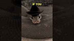 NEVER Do This To A Snake 😨 #viral