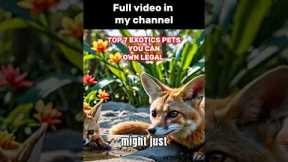 Top 7 Exotic Pets You Can Own Legally P.1
