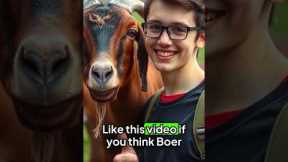 Animal Fact: The Boer Goat