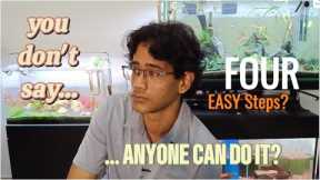 How to set up Aquarium? These 4 EASY steps I use for Aquascape+Fish Tanks, all of my 30 tanks!