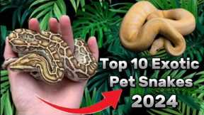 Top 10 Exotic Pet Snakes U Can Own As a beginner ! | 2024 |