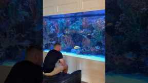 A Massive 2,000 Gallon Home Aquarium 🐠
