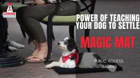 Teach your dog to be in calm in public, by teaching a your dog to Settle on The Magic Mat