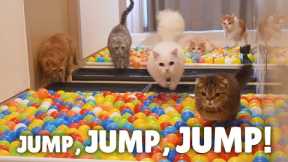 Ballpool Obstacle Course Challenge