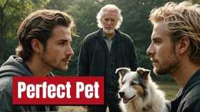 Border Collie SECRETS Nobody Tells You! | Is a Border Collie a Good Pet for You?