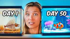 Simulating a Beach for 50 Days