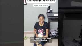 Ever wondered why your exotic pets can’t get enough of grass? #pets #petboarding #exotic #rabbit