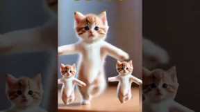 😻💃Cat videos funny dance 😻💃#cat #lovelyecats #catvideos #cute #shorts #ytshortsvideo