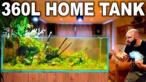 2 Weeks... My Aquarium Is F*@CK*%D!! (How To Fix)