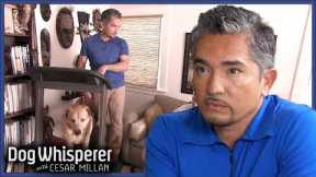 Angry Dogs Hit The Treadmill | Dog Whisperer With Cesar Millan