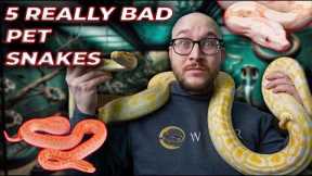 5 Really Bad Pet Snakes | Get These Snakes Instead!