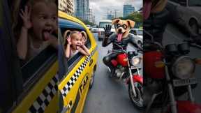💥 Evolution of Dog : Joking on the road-3 ✅️ #doglover #puppy #dog #shorts #copydoggy