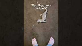 Monitor lizards are basically cats.
