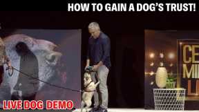 How To Teach ‘Sit’ Like A Pro -- No More Begging! | Live Dog Demos