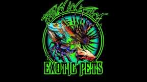 EXOTIC PETS! Excited to announce our new channel!