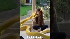 Fear of Snakes | Pet Phobias