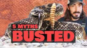 5 Rattlesnake Myths BUSTED (You Won’t Believe #3)