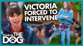 Aggressive German Shepherd Attacks Owner Mid-Training!😱 | It's Me or The Dog