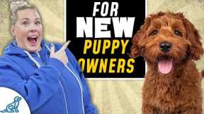 6 Puppy Training Mistakes New Dog Owners Make