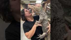 Everybody meet My Giant Friendly Monitor Lizard🥰🙌