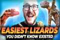 The 5 BEST Beginner Lizards You've