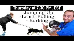 3 Dog Training Steps To Stop ANY Unwanted Behavior