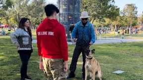 How To Stop A Reactive Dog FAST!!! ( And Actually Help Them).