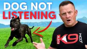 3 Reasons WHY Your Dog REFUSES to Listen To You!