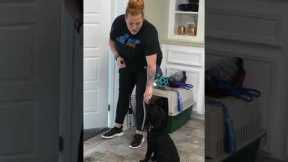 Do THIS Every Morning After You Feed Your Puppy!
