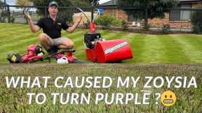 Why Is My Sir Grange Zoysia Turning PURPLE?! Pre-Winter Lawn Update!