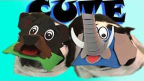 Exotic Pets: Cute or Dangerous