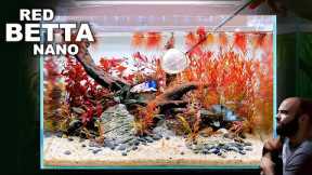 FULL AQUARIUM BUILD - Red Betta Fish Nano Aquascape Tutorial!
