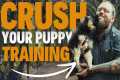 PUPPY TRAINING MASTERCLASS - Reggie