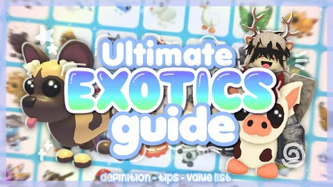 The ULTIMATE *EXOTICS* GUIDE in ADOPT ME! 🤩