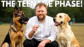 Dog Training MISTAKES In The TEENAGE PHASE!