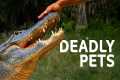 Owning An Exotic Pet Goes Wrong |
