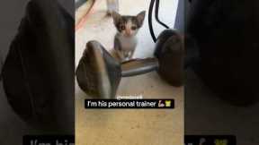 I Tried To Train Coco 😭