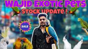 Wajid Exotic Stock Update| Exotis birds Budget Mai|