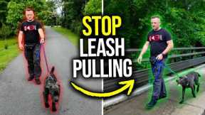 How to STOP Leash Pulling in MINUTES – 100% GUARANTEED! ANY Dog, Any Age, Any Breed